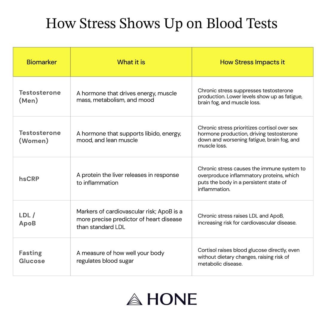 Table defining how stress shows up on blood tests.